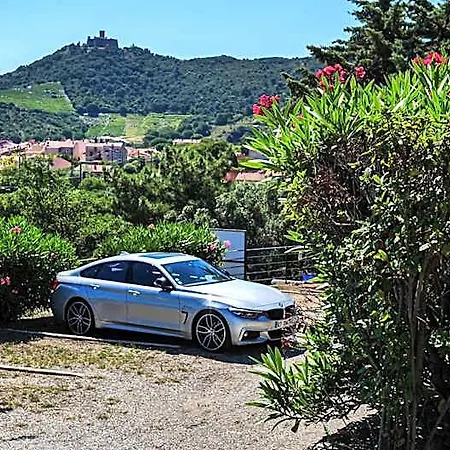 Ambeille Vue